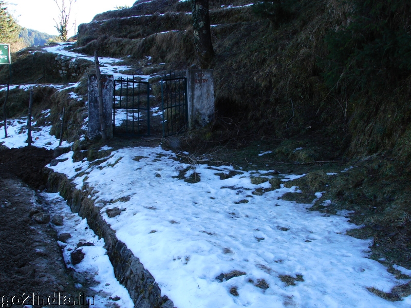 Snow by the side of the road