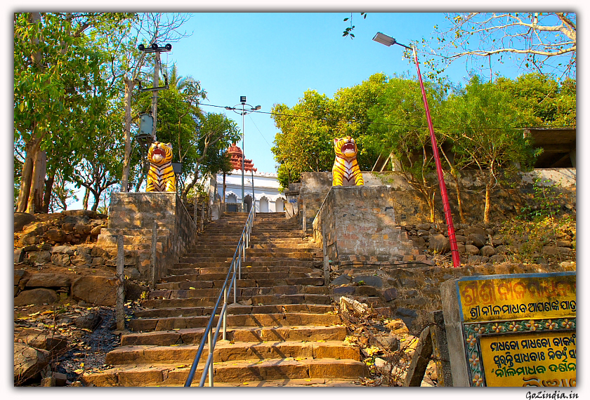 Steps to Neelamadava Temple in Kantilo