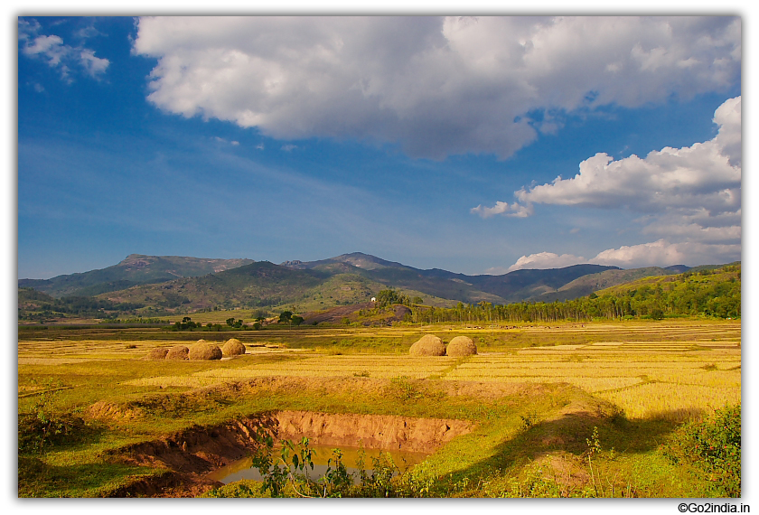 green valley and cultivation around Paderu