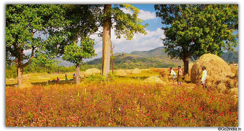 On the way to Araku from Paderu