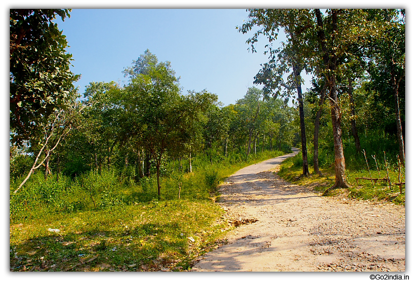 Road to Gupteswar cave temple