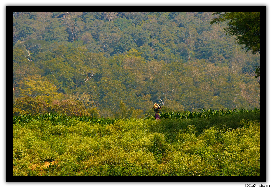 A man by the side of the river 