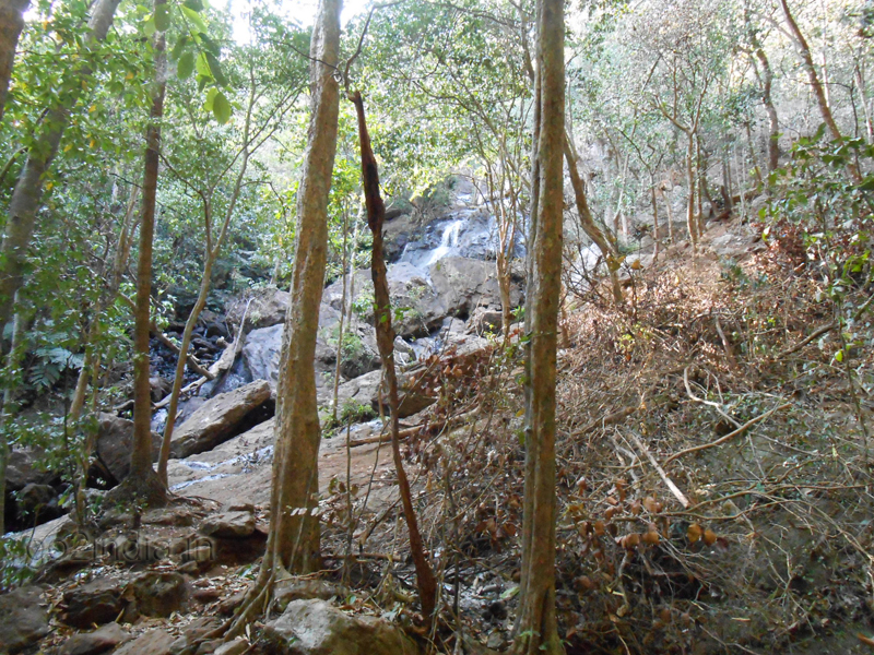 Amrutha Dhara waterfall at a distance of 18 KM from Maredumilli