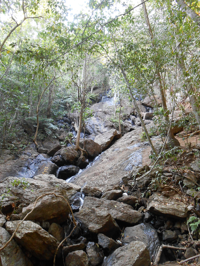 Flowing stream in waterfall at Maredumilli