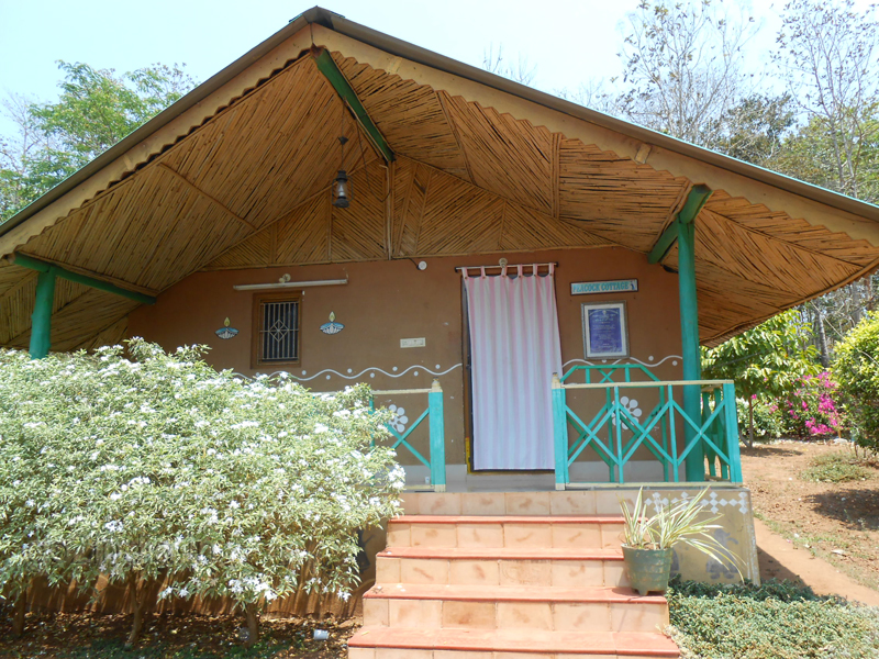 Bison cottage inside vanvihari at Maredumilli 