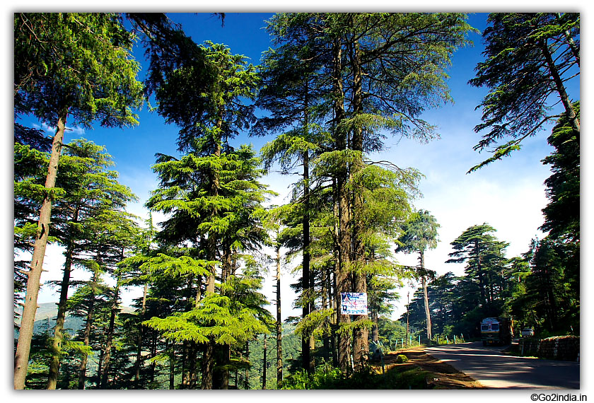 NH 1A near Patnitop