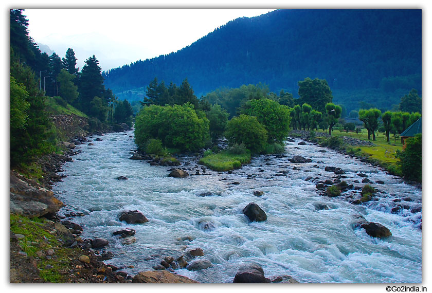 Cold water flowing at Pahalgam