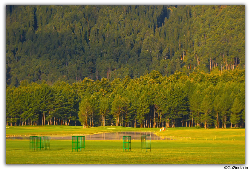 Tall trees and green field at Pahalagam