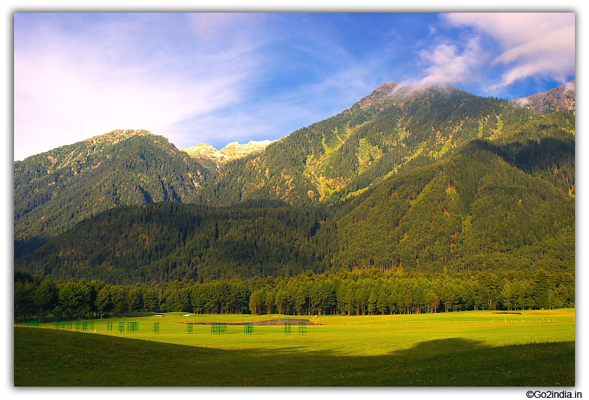 Hills and green grass at golf ground