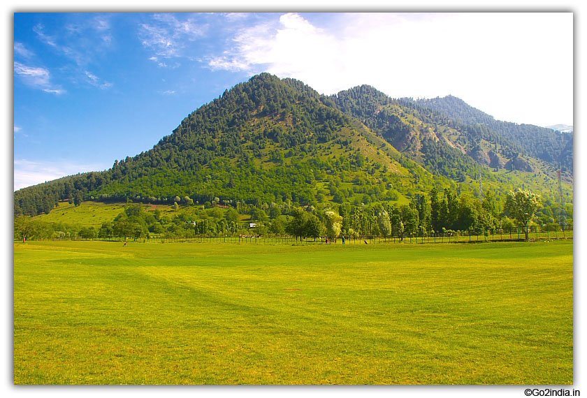 Green in hills around golf ground of Pahalgam