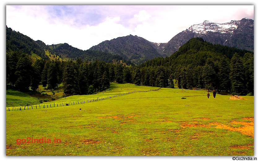 Green Aru Valley at Kashmir