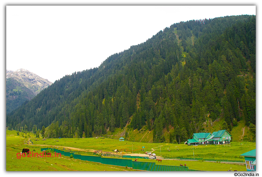 Green valley and Hotel Alpine at Aru valley