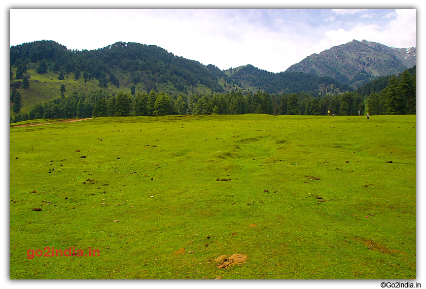 Green valley and tall trees in Aru valley