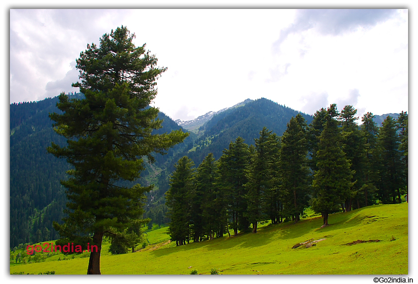 Green belt at Aru valley in Pahalgam