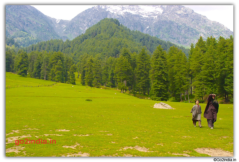 Kashmir leady at Aru valley 