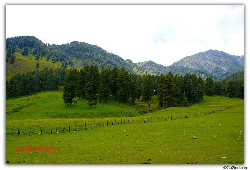 Green all around Aru valley 