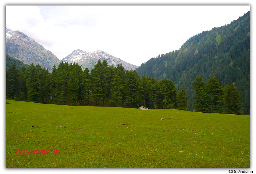 Hill and tall trees around Aru valley