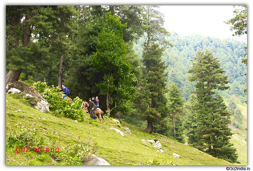 Tourist using horse to go around the valley