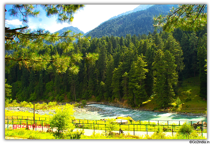 River and Jungle on the way to Pahalgam
