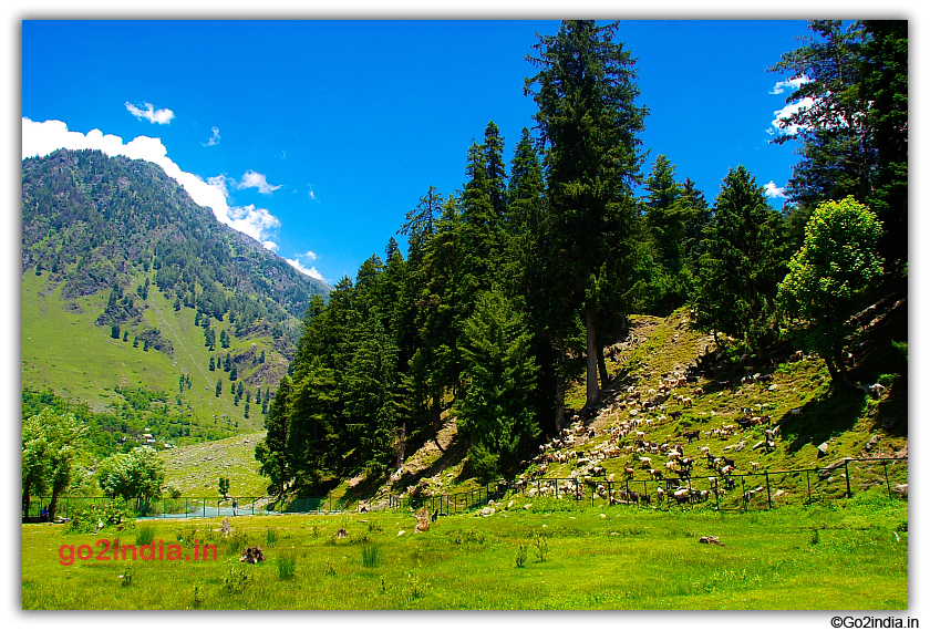 Green valley and blue sky at Betab valley