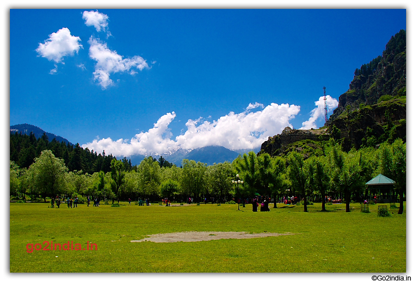 Trees and grass at Betaab valley