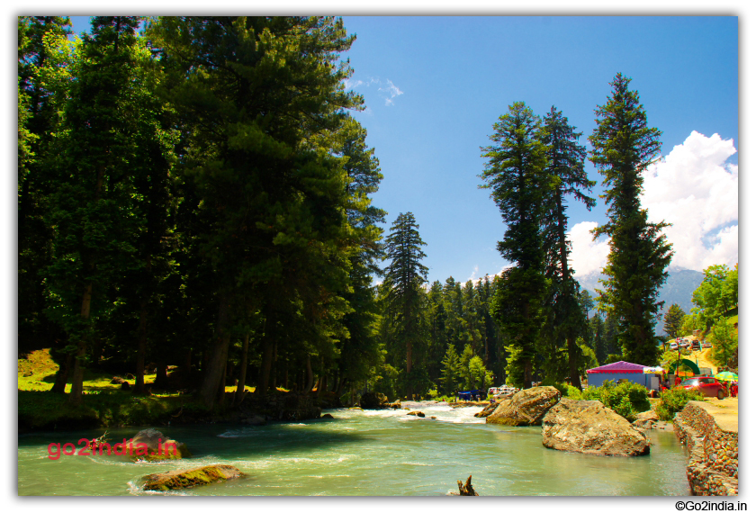 river and tall trees at Betab valley