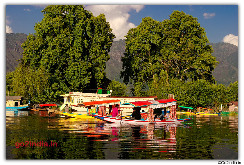 Trees and houseboat by the side of Dal Lake