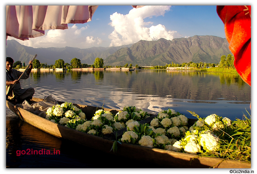 Vigitables shifted in small boats in Dal Lake 