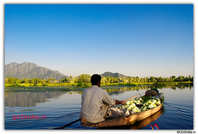 A boat man with Vigitables in Dal Lake