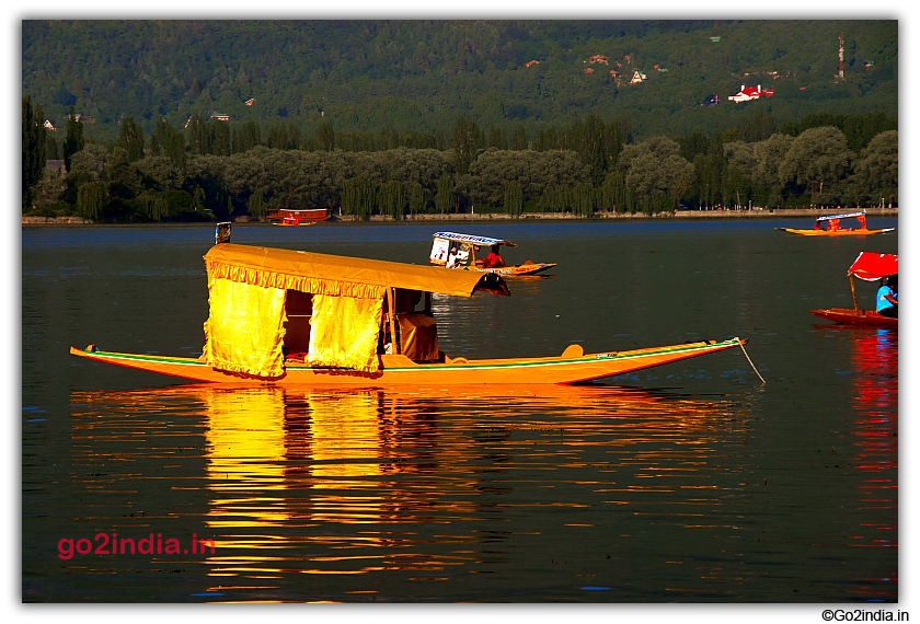 Yello Shikara in Dal Lake Srinagar