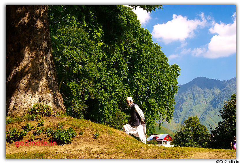 Old Man at Nishat Bagh Srinagar