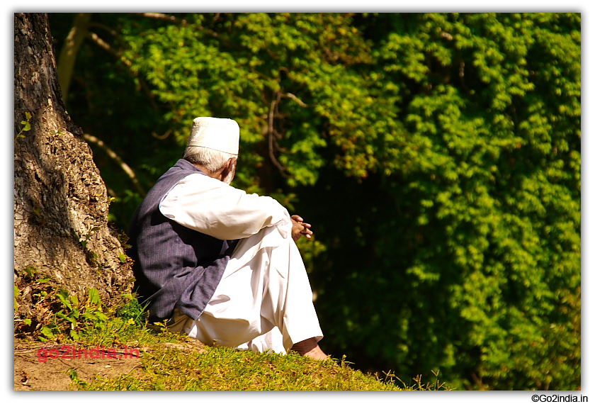 Old Man sitting Below a tree in garden