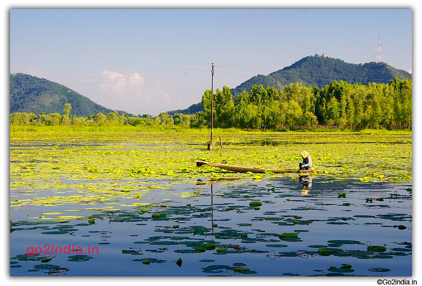 Boat in water of Nagin Lake in Srinagar