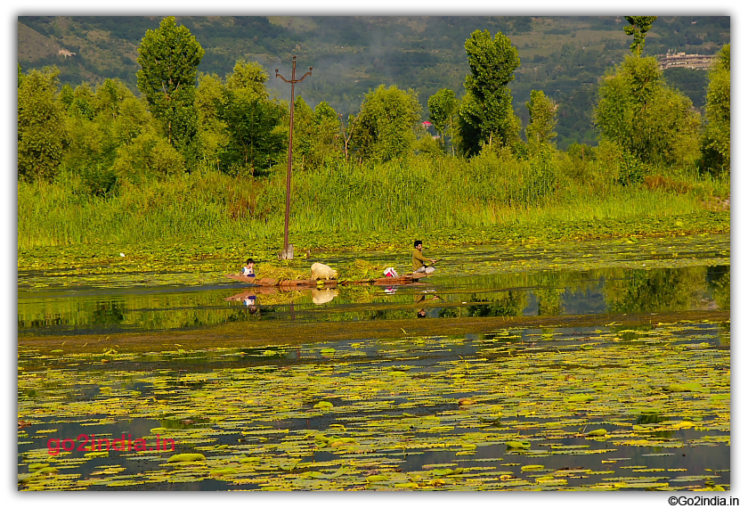 Boat man carrying items in Nagin Lake