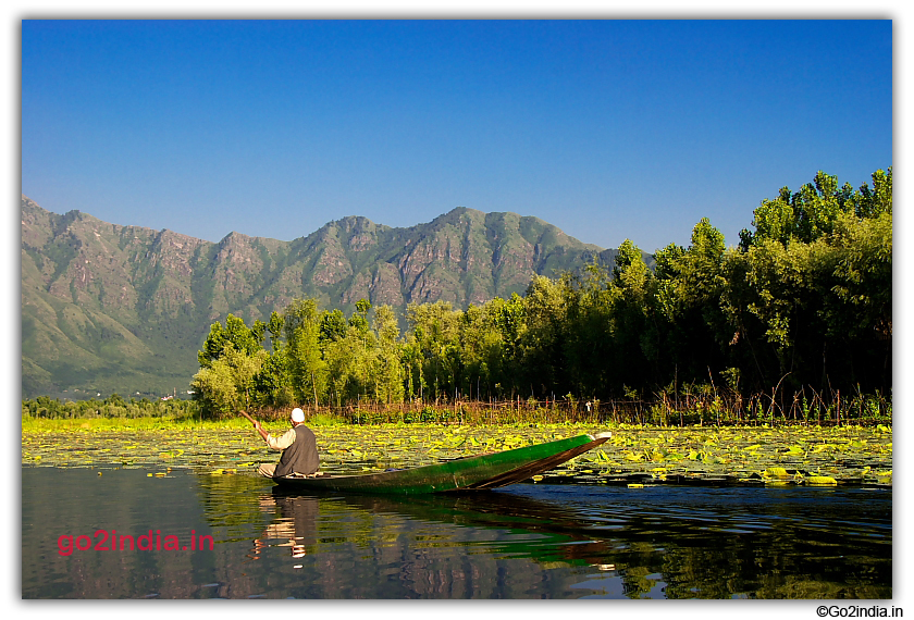 Boat is the best way to move around Nagin Lake