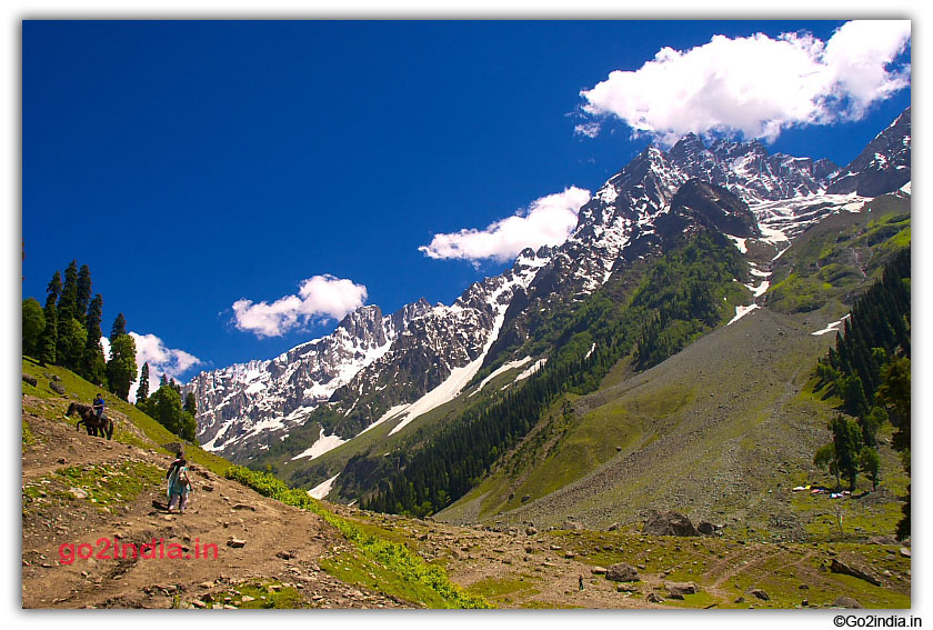 Sonmarg is famous for green valley and glacier 