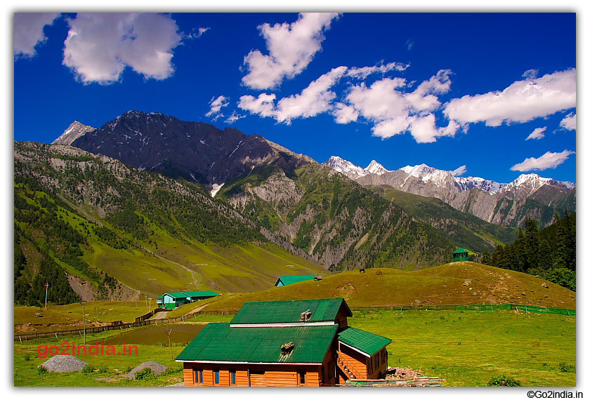 Houses in green valley of Sonmarg