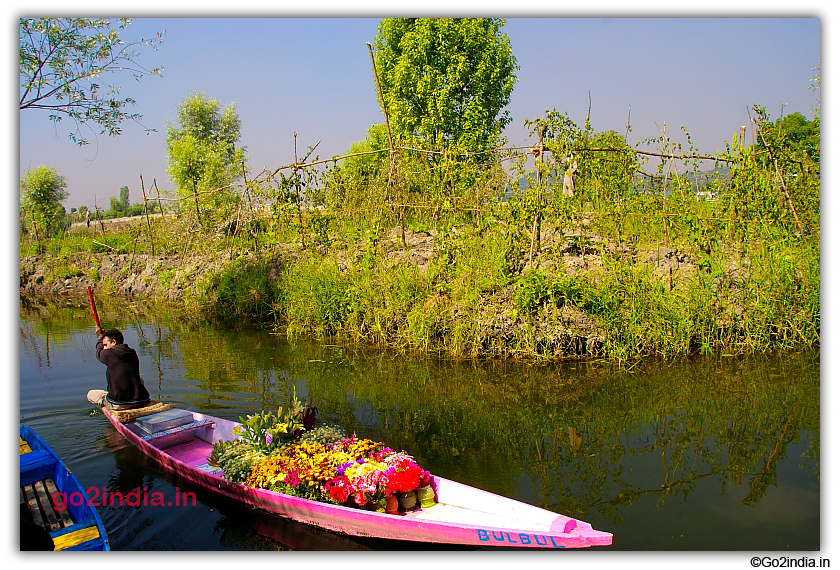 Flowers in Shikara near Houseboat