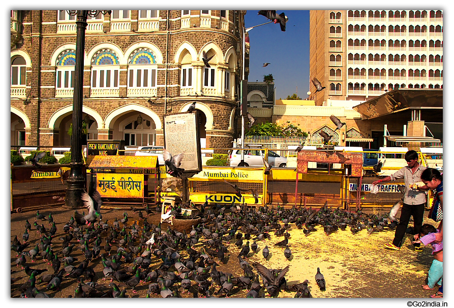 Feeding birds is a common sean at Mumbai