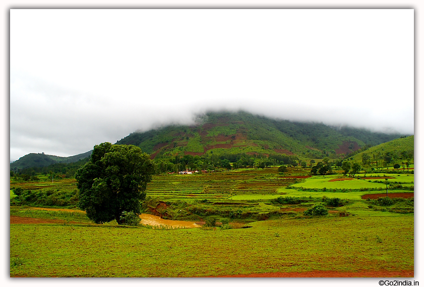 Hills covered with cloud at Araku
