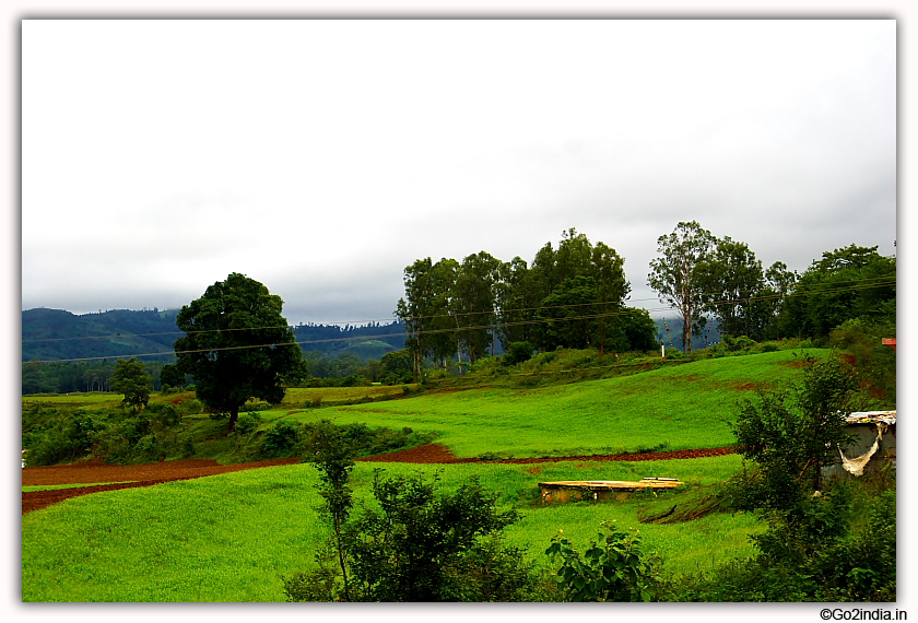 Green valley during rain