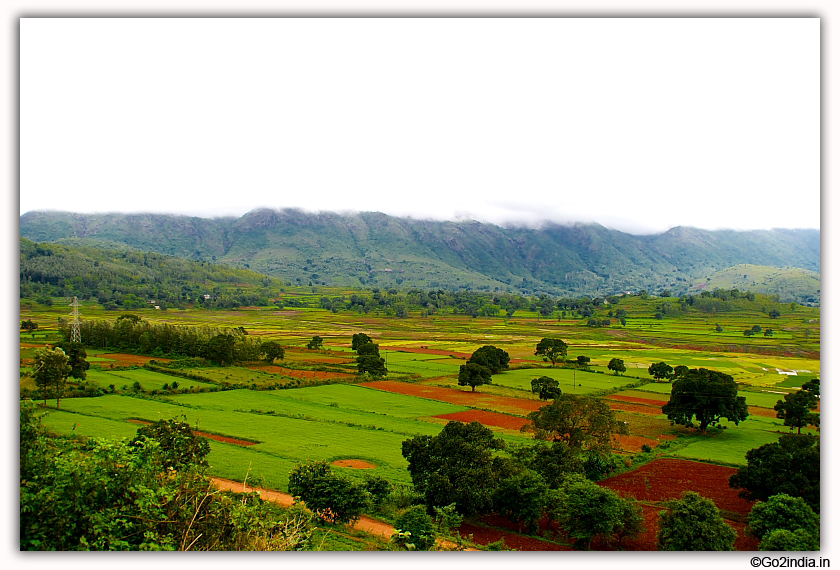 During rain Araku valley became green 