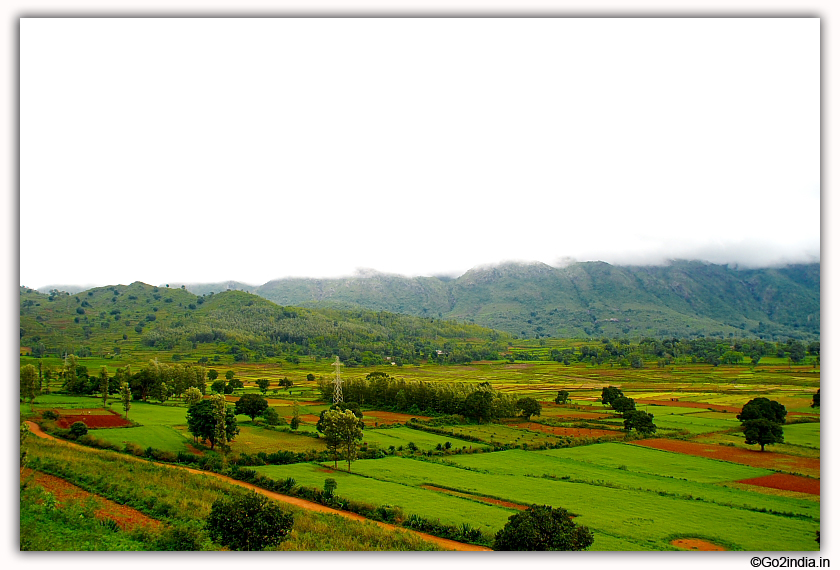 Green valley near Araku 