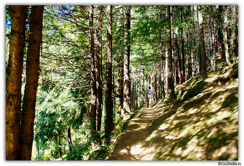 Trekking rout to Jogini waterfall near Manali