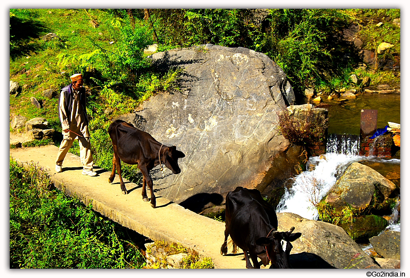 On the way to Jogini waterfall at Manali