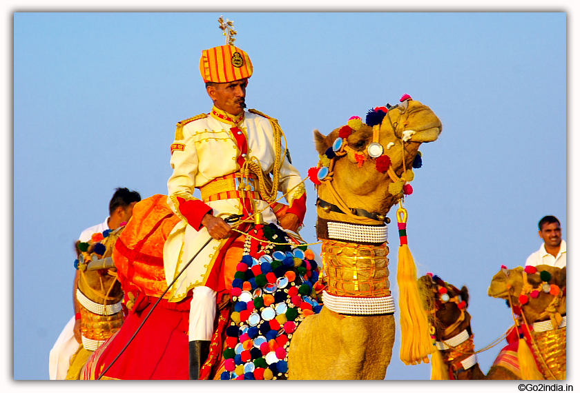Decorated camel show during Rann Utsav
