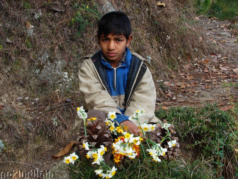 Kid of Himachal