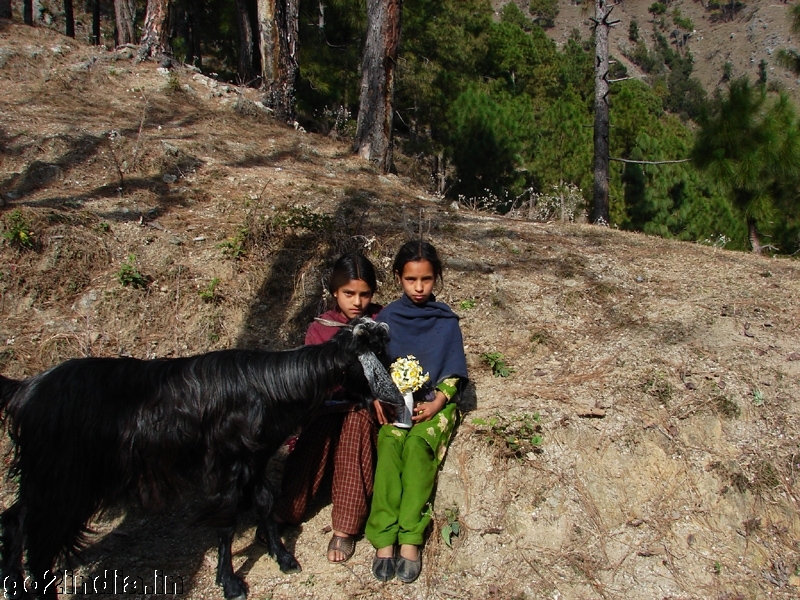 Kids of Himachal