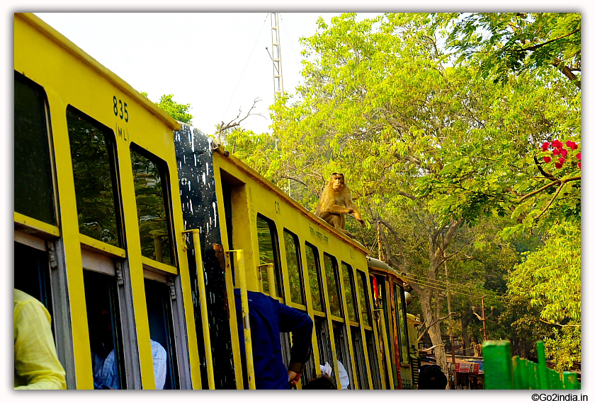 Matheran Neral Toy train 