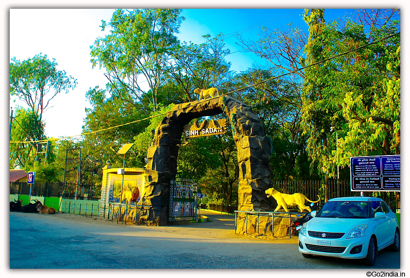 Sasan Gir Jungle Safari by Jeep